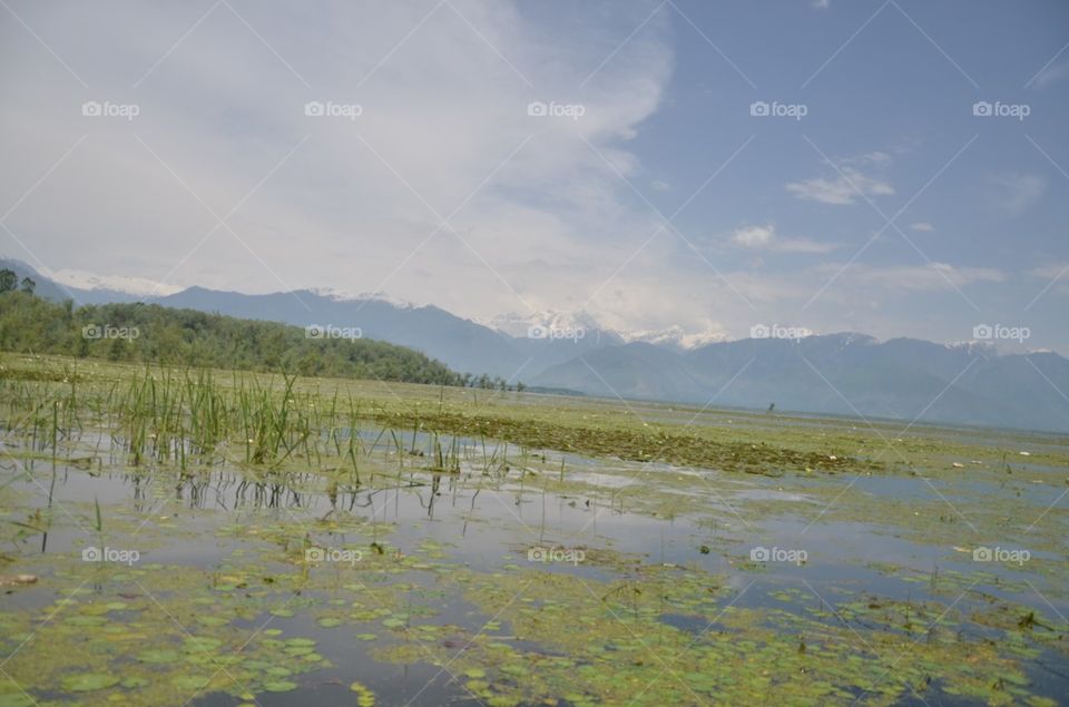 Water, Landscape, No Person, Lake, Nature