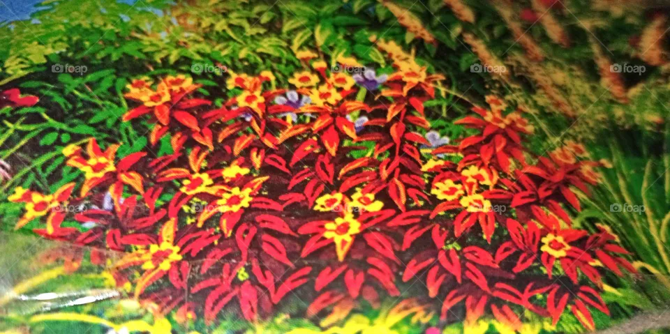 flower pant