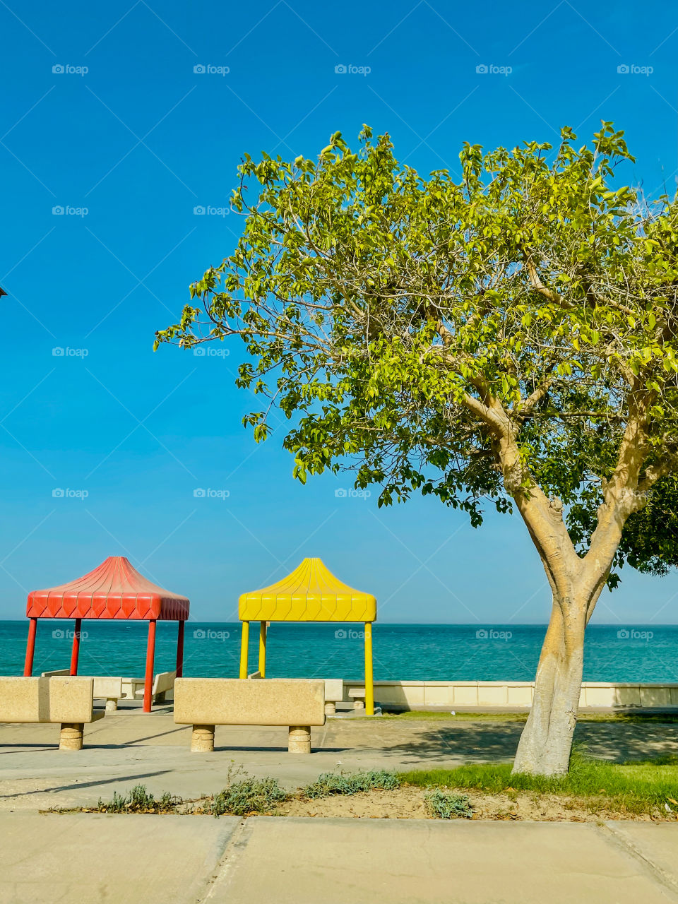 Beautiful tree and huts in front of the sea