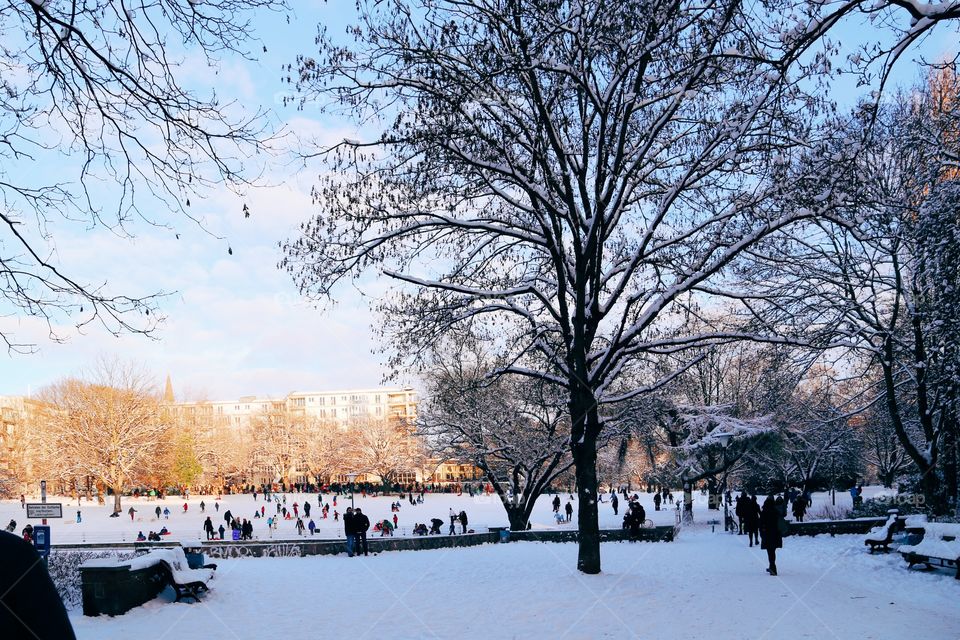 Peoples enjoying at frozen park