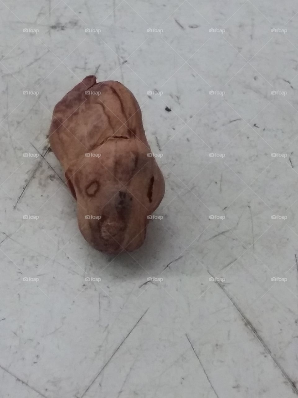 Dog faced peanut!