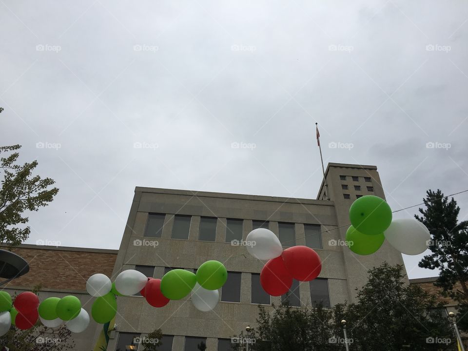 No Person, Building, Sky, Tree, Balloon