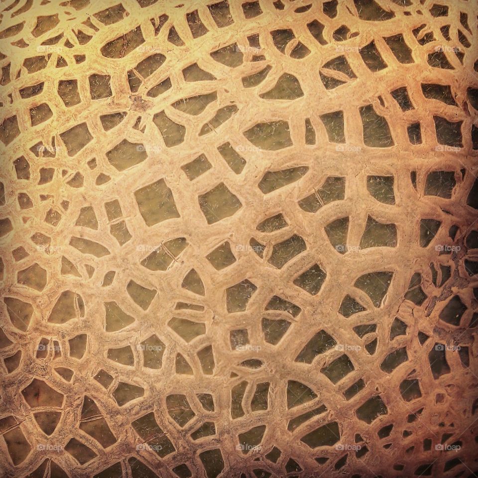 pattern: cantaloupe