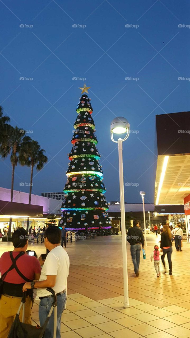 Árbol navideño que mide más de 8 metros de altura