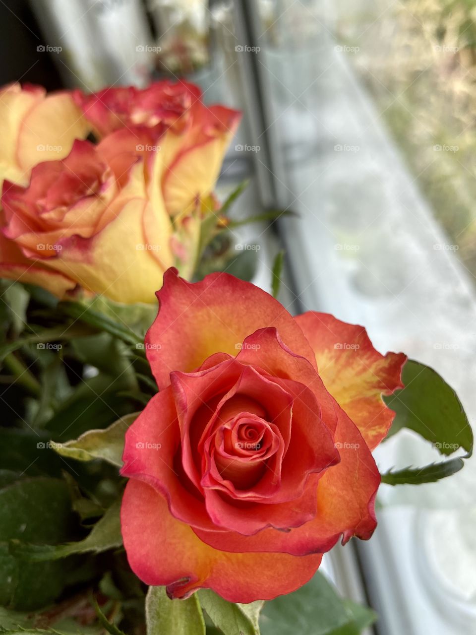 Roses are red ❤️