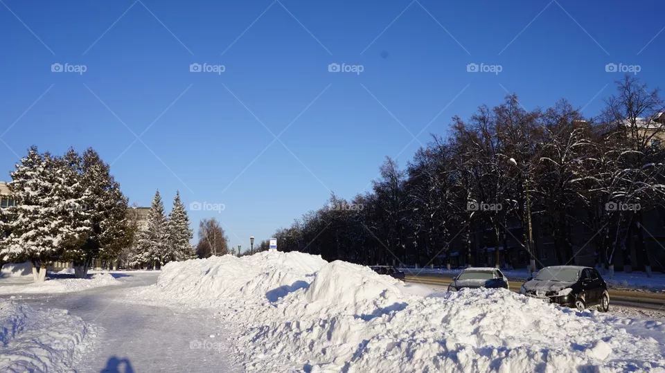 winter