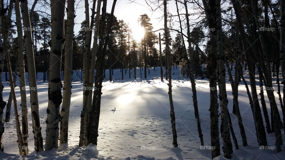 Inam-Innovation photography.