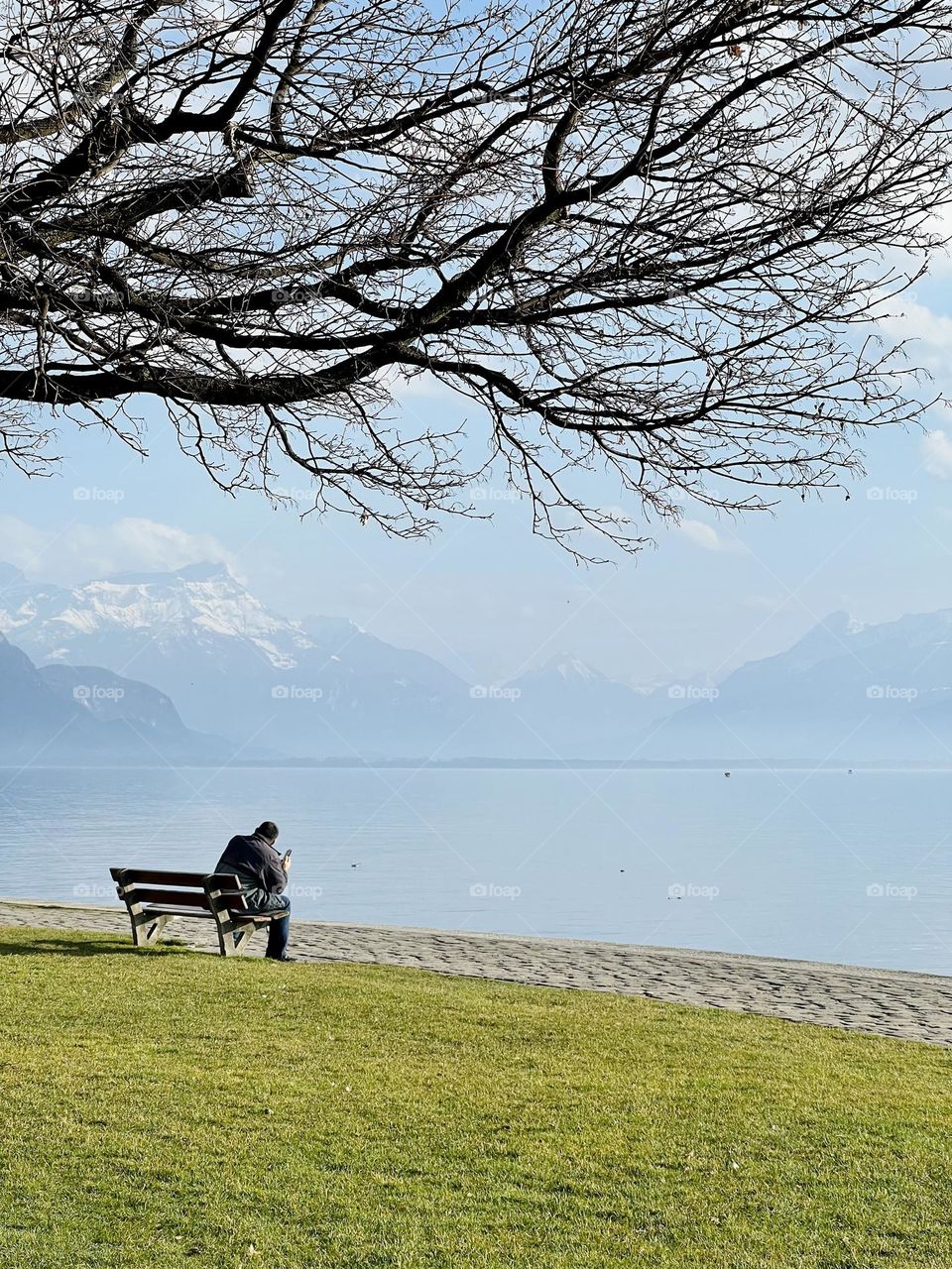 Bench by the lake