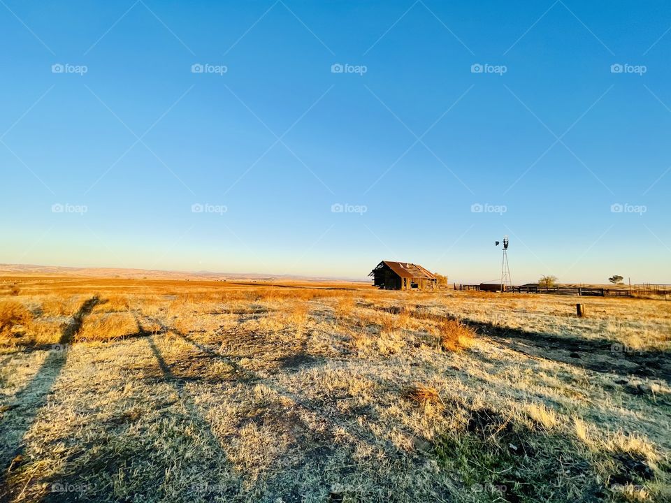 Abandoned barn 