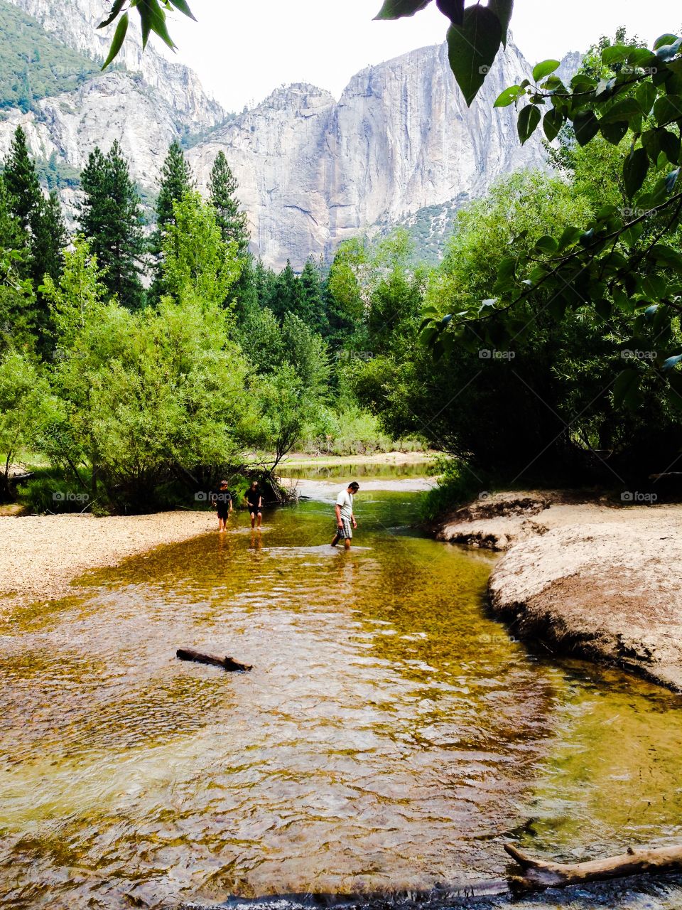 River through the forest