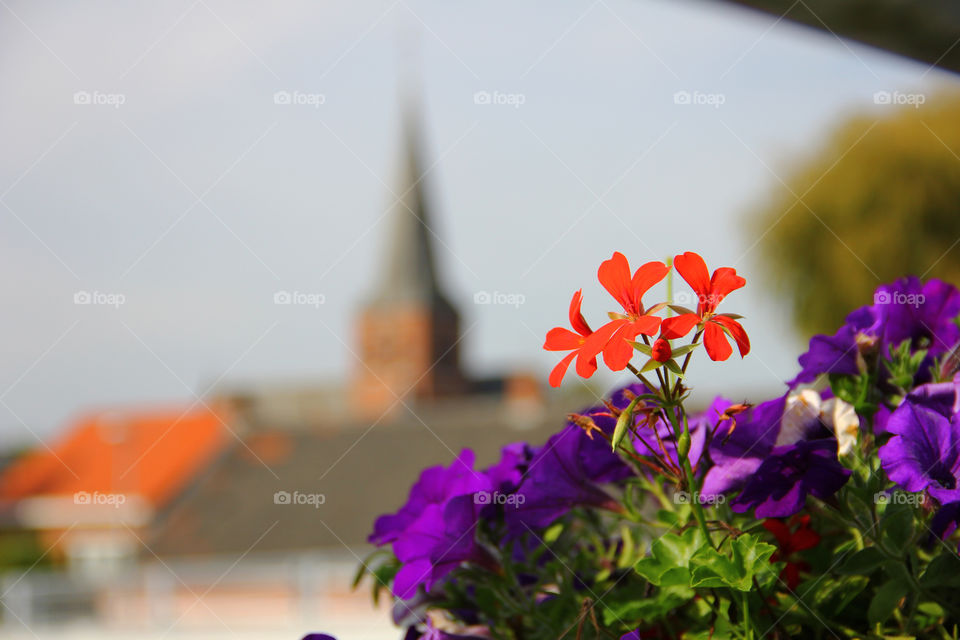 red flower to church