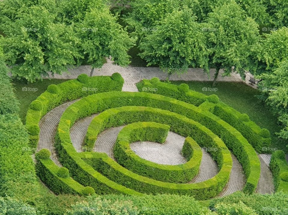 Beautiful green labyrinth hidden among the alleys of Luxembourg in summer.