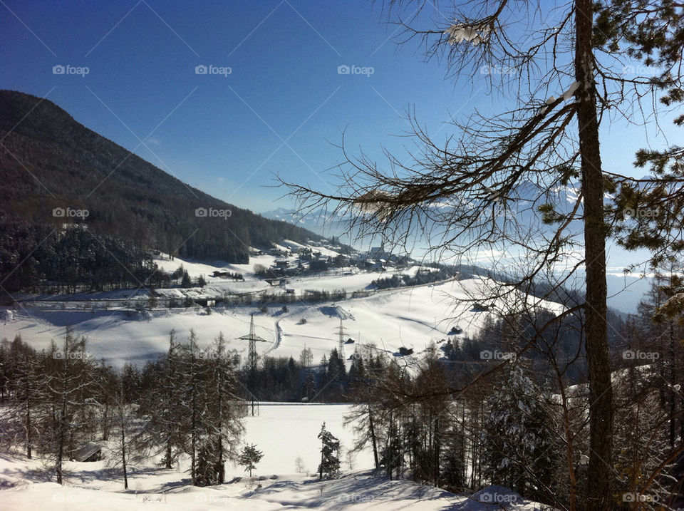 snow mountain trees forest by andyamc