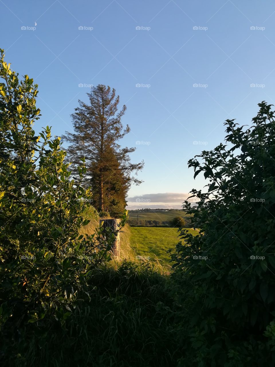 Scenery on my daily strolls