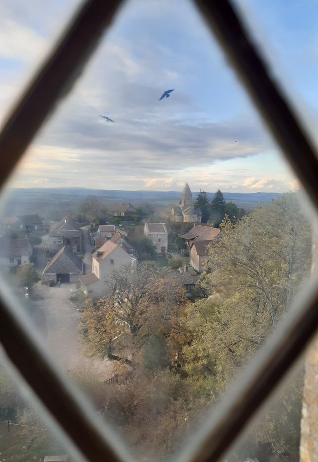 View up from above