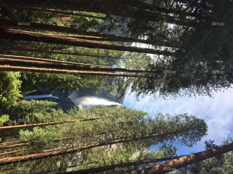 Waterfall