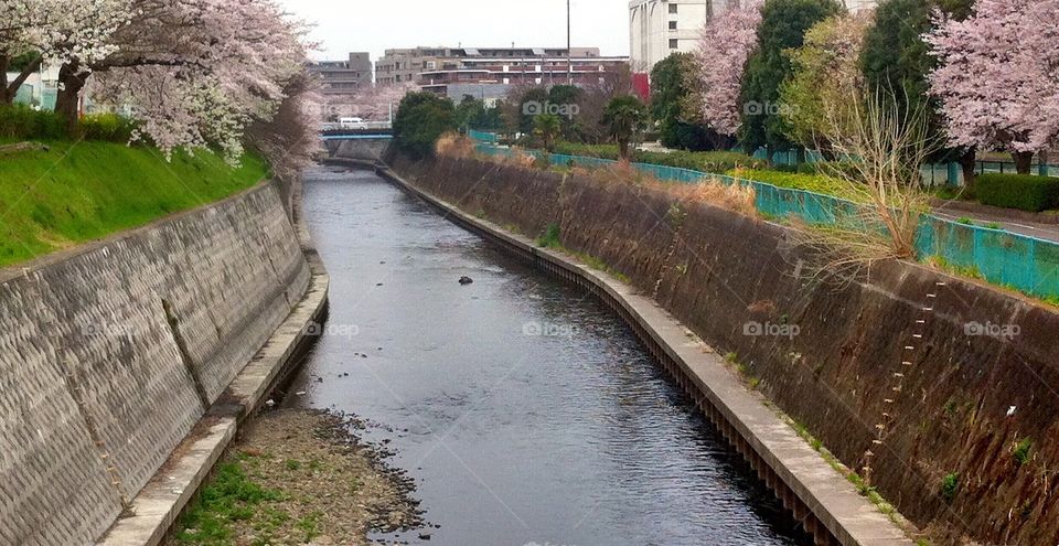 Romantic canal