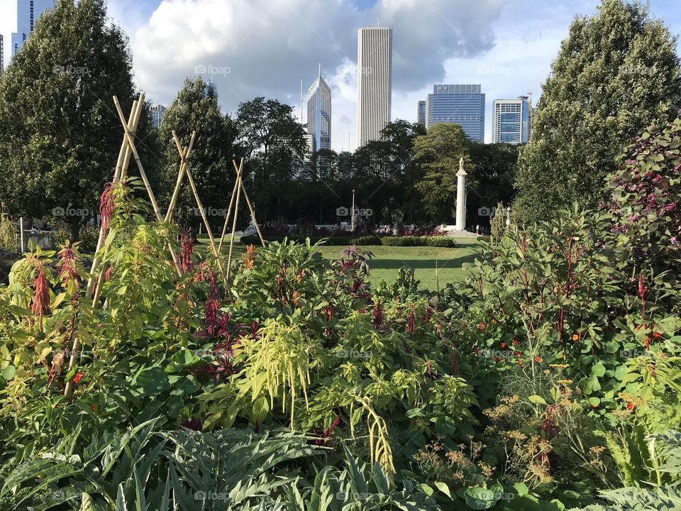 Harvest display in Grant Park, Chicago