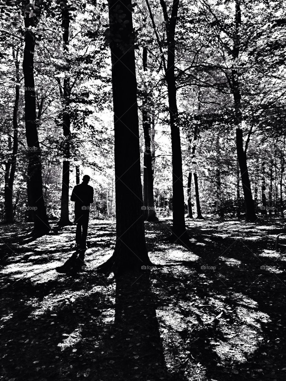 trees woods shadows man by hannahdagogo