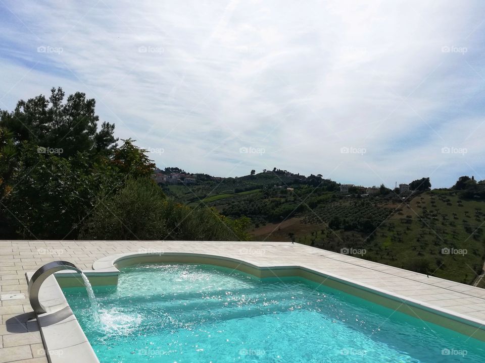 Swimming pool surrounded by greenery