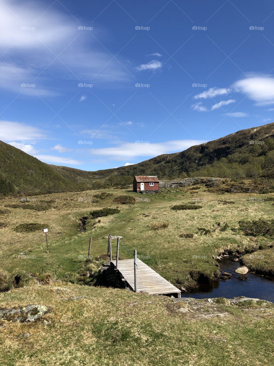 Spring in Arna, Norway