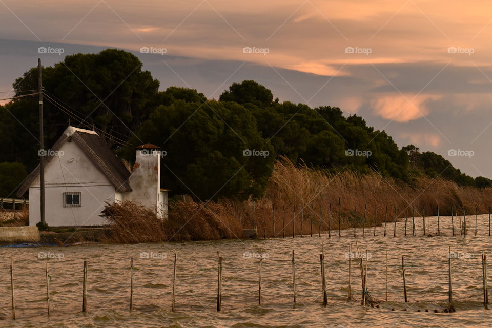 Atardecer en la albufera, Valencia. España-Sunset in La Albufera, Valencia. Spain