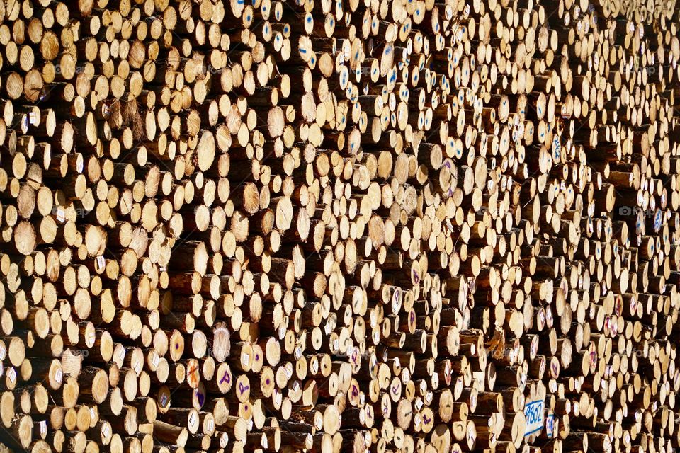 Logs awaiting processing in a local mill