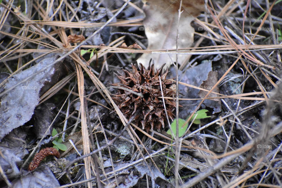 Outdoors nature camouflage
