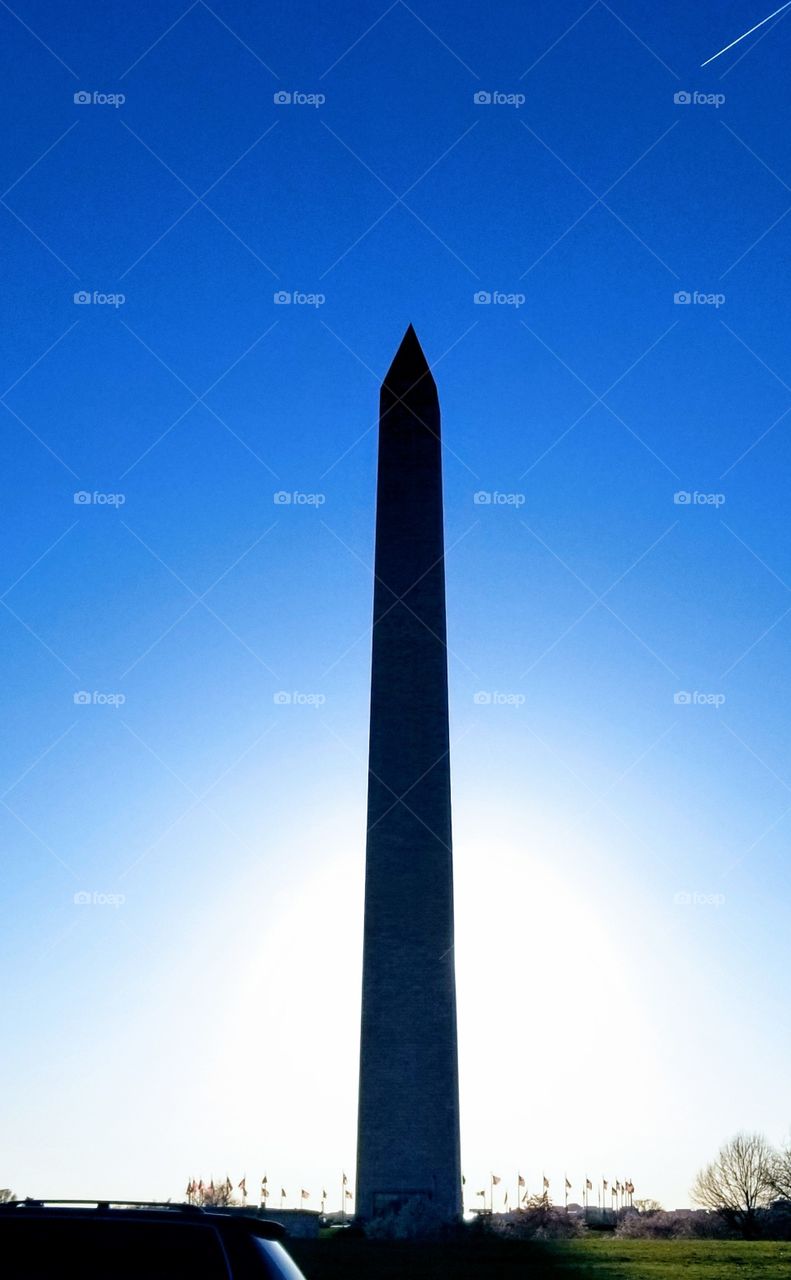 The Washington Monument