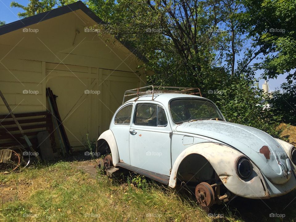 Car, Vehicle, Abandoned, Transportation System, Grass