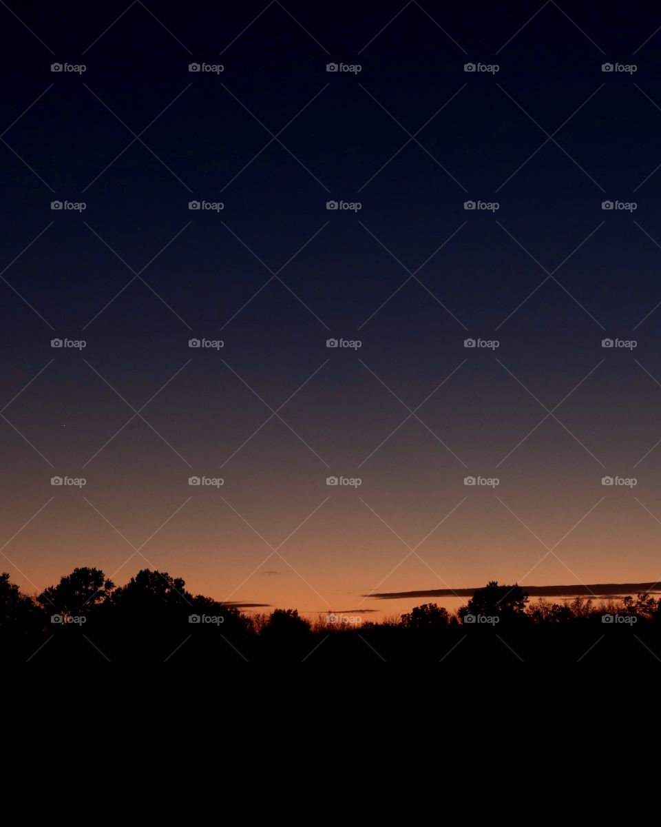 Sun glow over a forest in the countryside