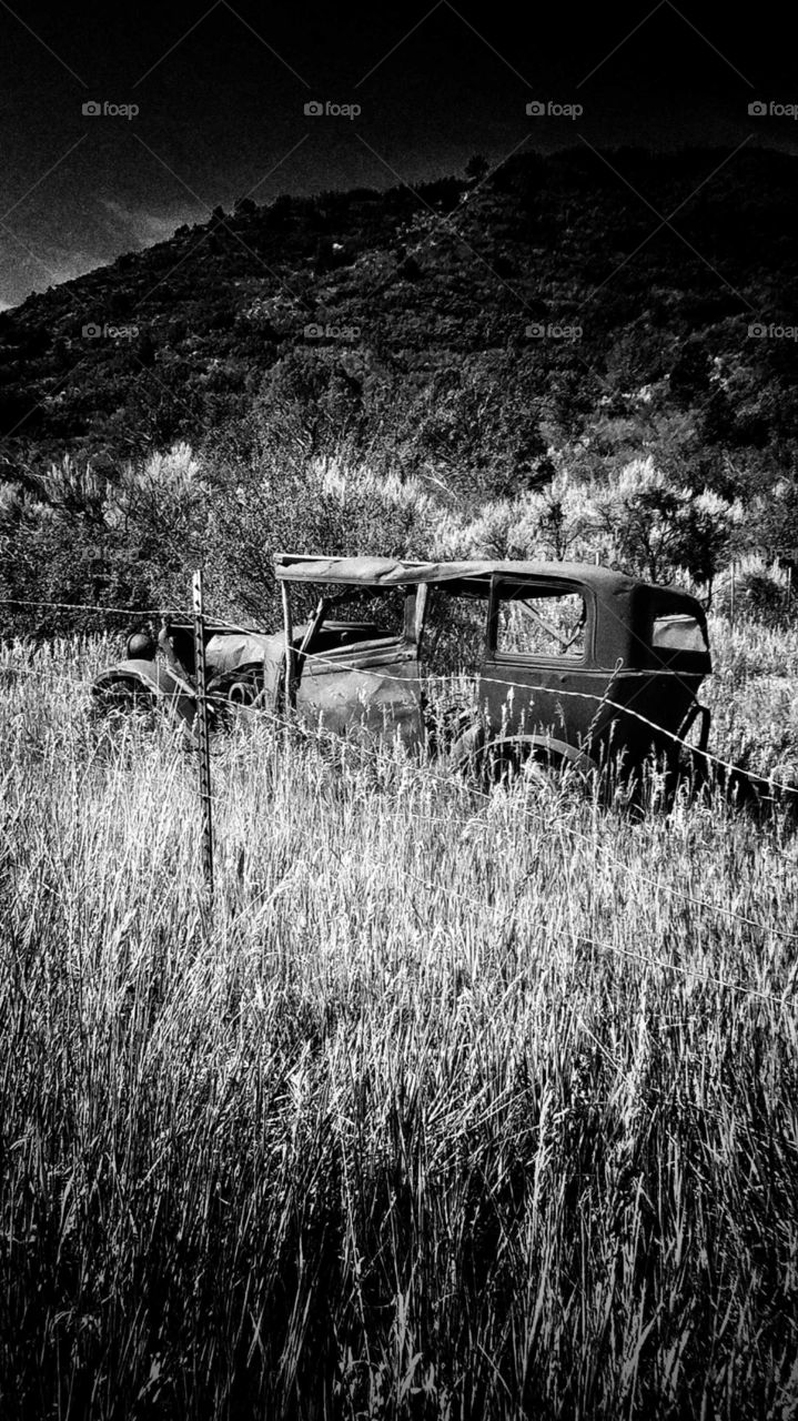 This old jalopy from days gone by rests serenely next to a country road.