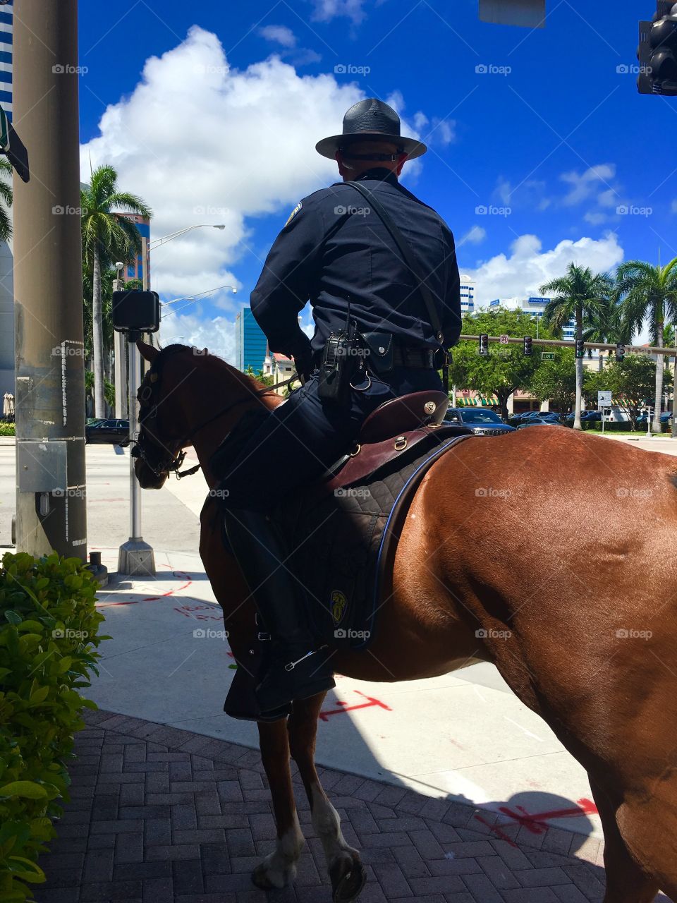 Police officer commute into work on his horse and Miami
