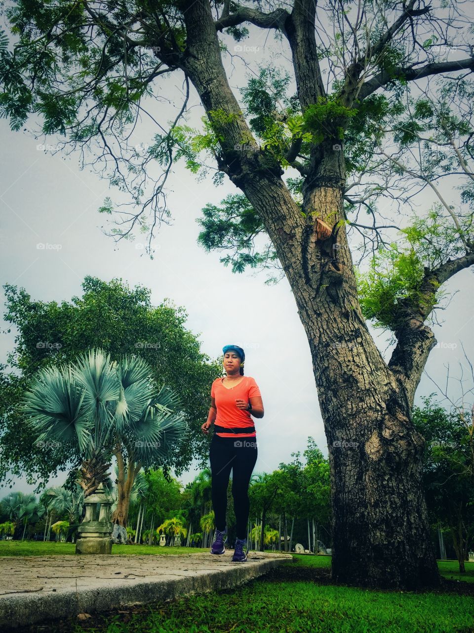 Tree of run