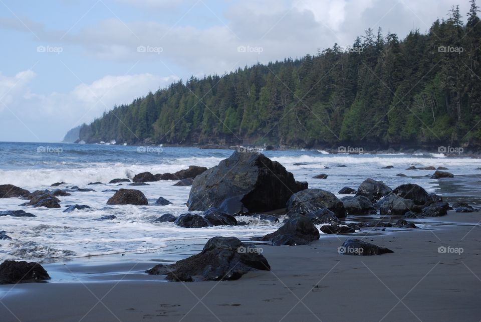 Juan de Fuca  Trail, Vancouver Island