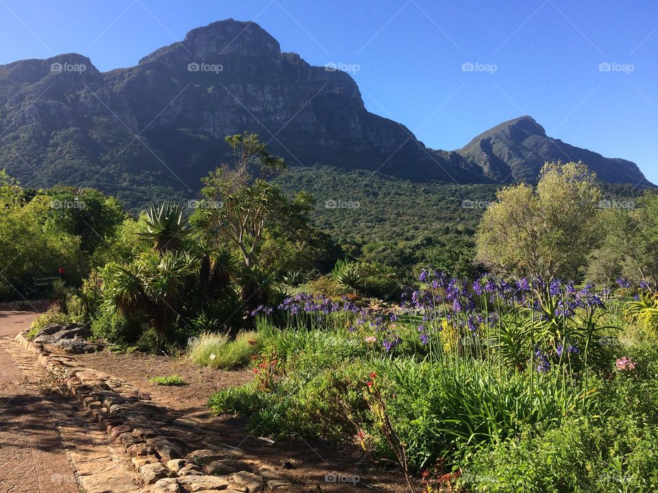 Mountain vire and the green nature in a blue sky during summer 