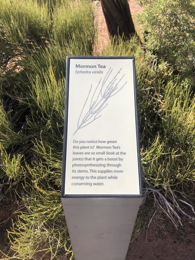 Nature