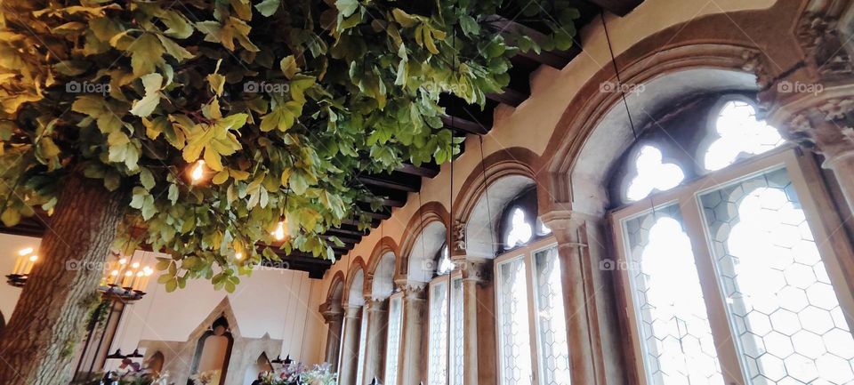 If the tall stain glass arched windows with rosetta shapes weren’t enough the rather tall ceiling features hanging plants that cover the entire area. Festive and lavishly decorated indeed !!! 2023. Hypnotic Productions