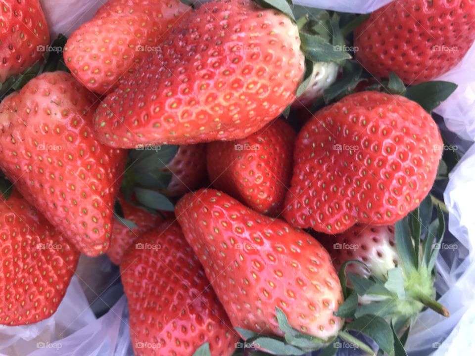 Juicy Strawberries 