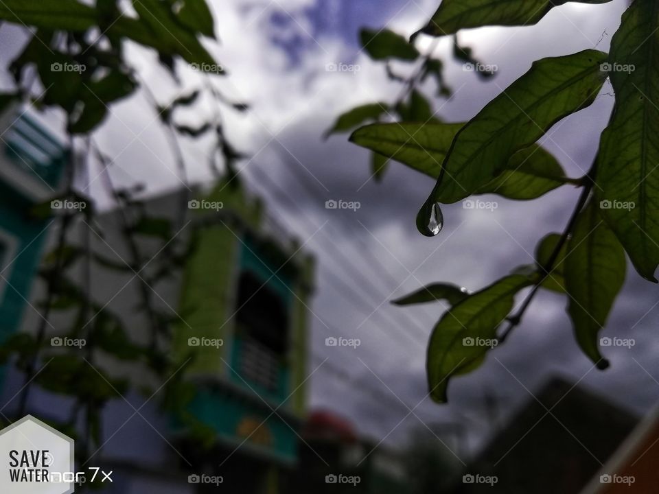 kindly buy this picture at least $3