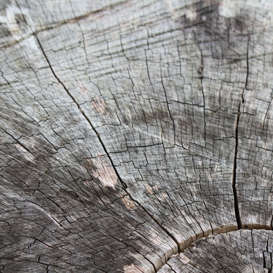 wood texture