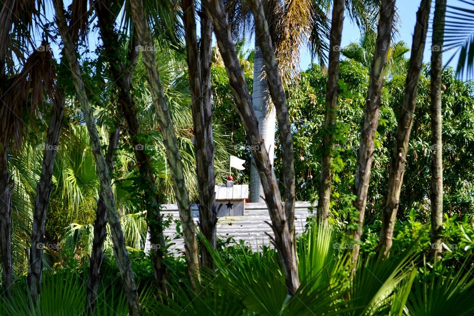 tree house fort. tree house fort among the palms and mangos