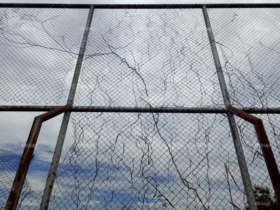 The fence is full of dead ivy with clouds in the sky.
