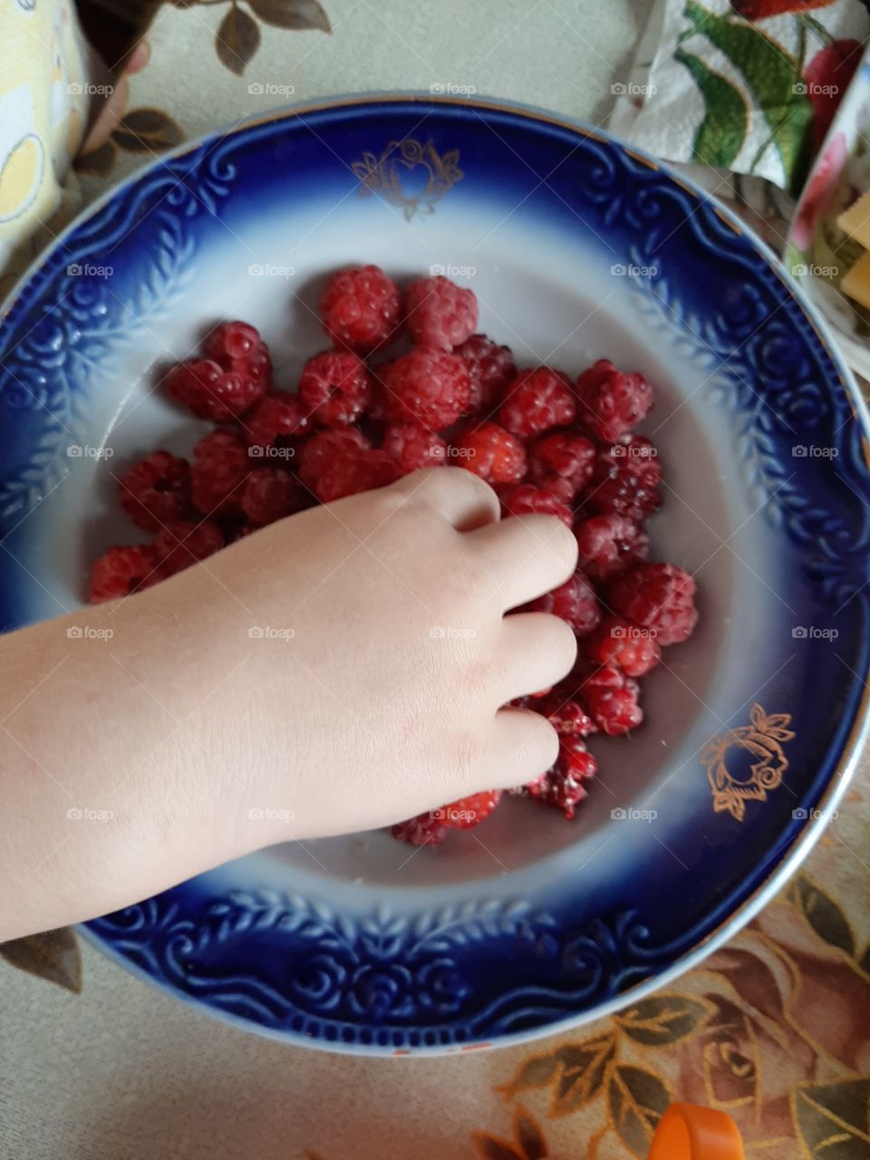 a child's hand reaches for raspberries