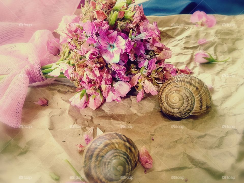 composition of dry pink geranium flowers in vintage style