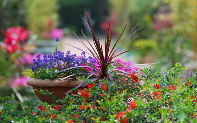 Botanical Gardens