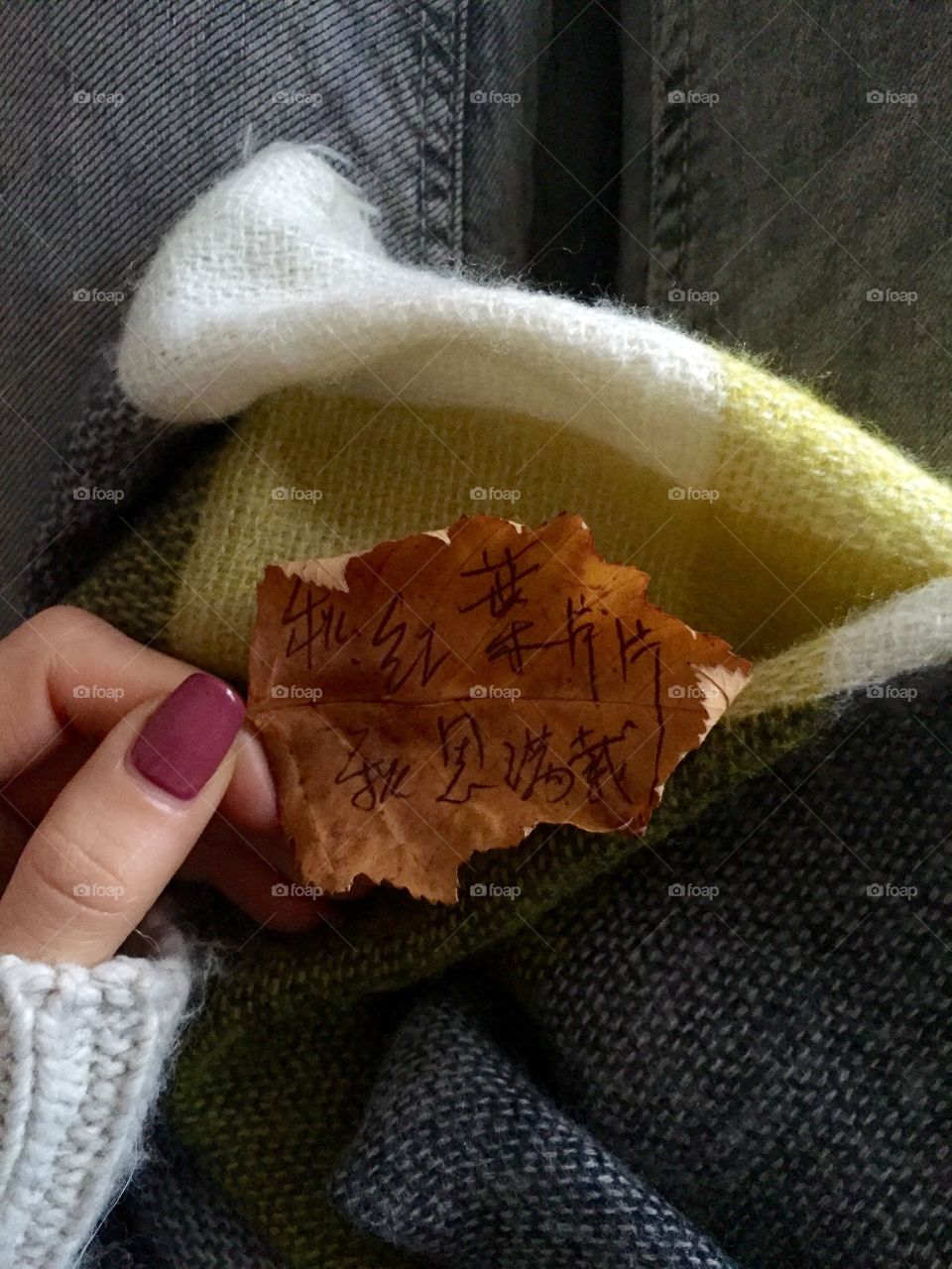chinese poem on a leaf