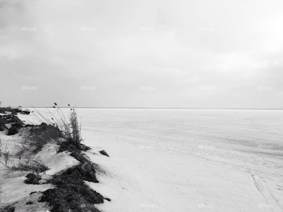 Snowy landscape 