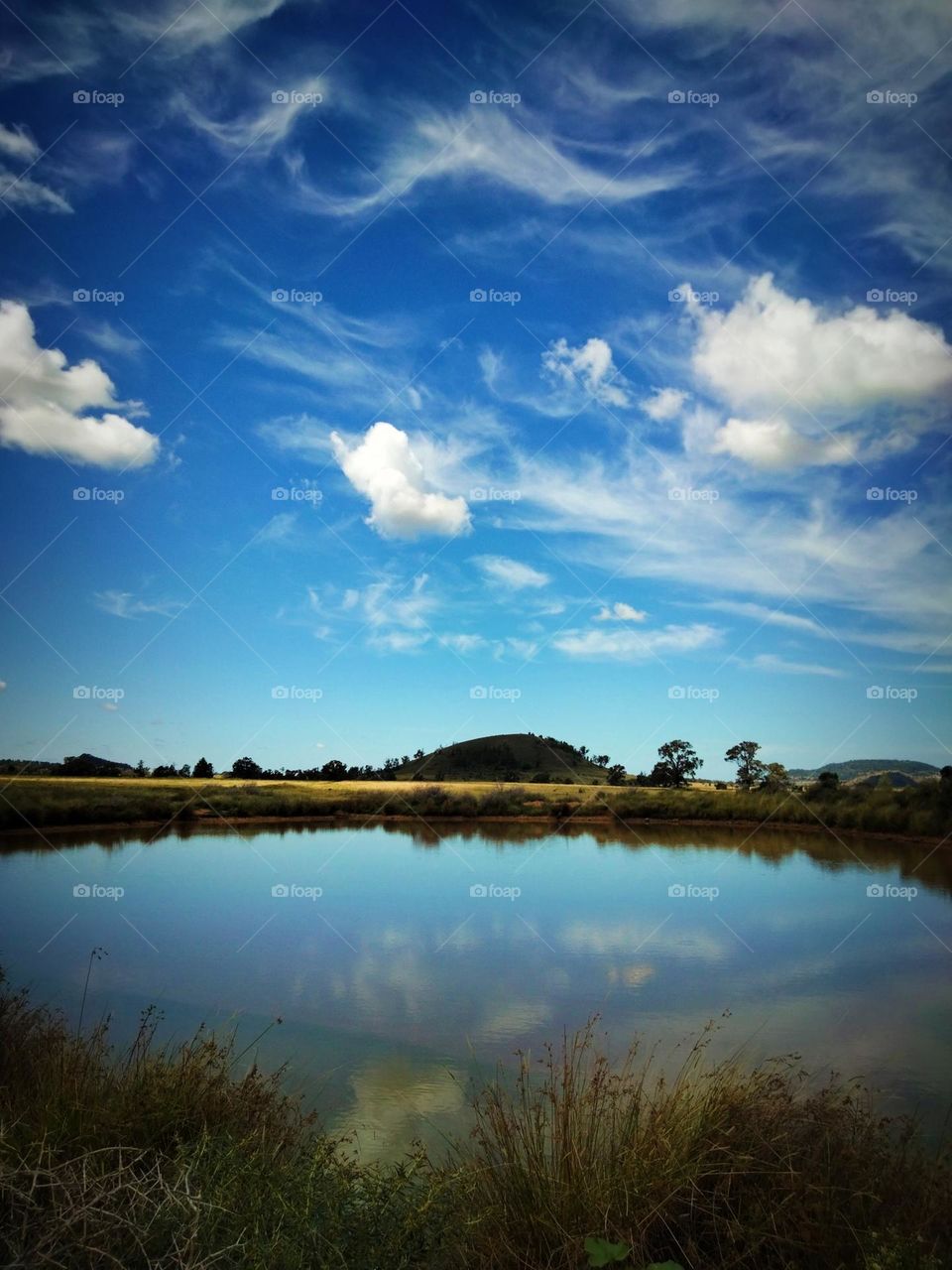 favourite place for a long walk rural property dam.