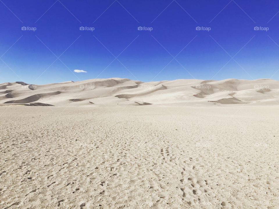 Colorado Sand Dunes 